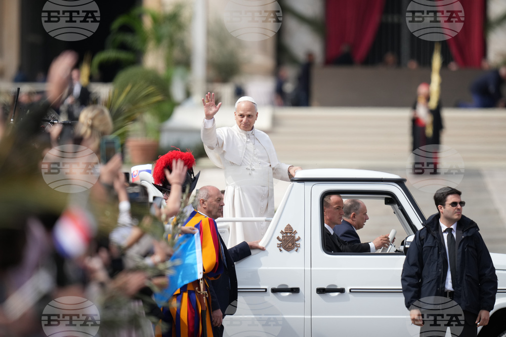Vatican Pope Palm Sunday