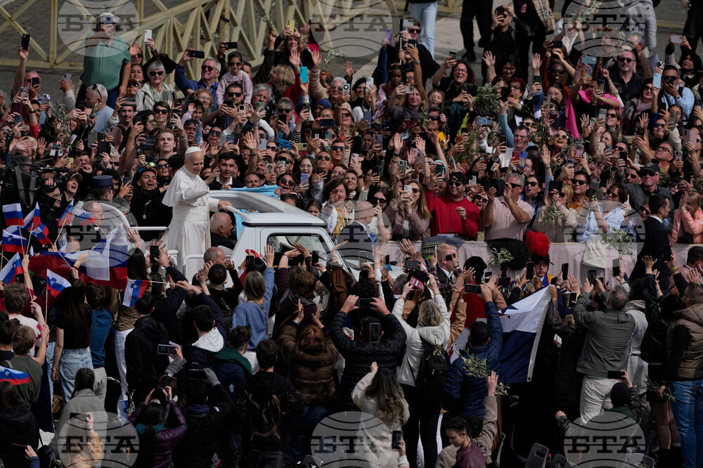 Vatican Pope Palm Sunday