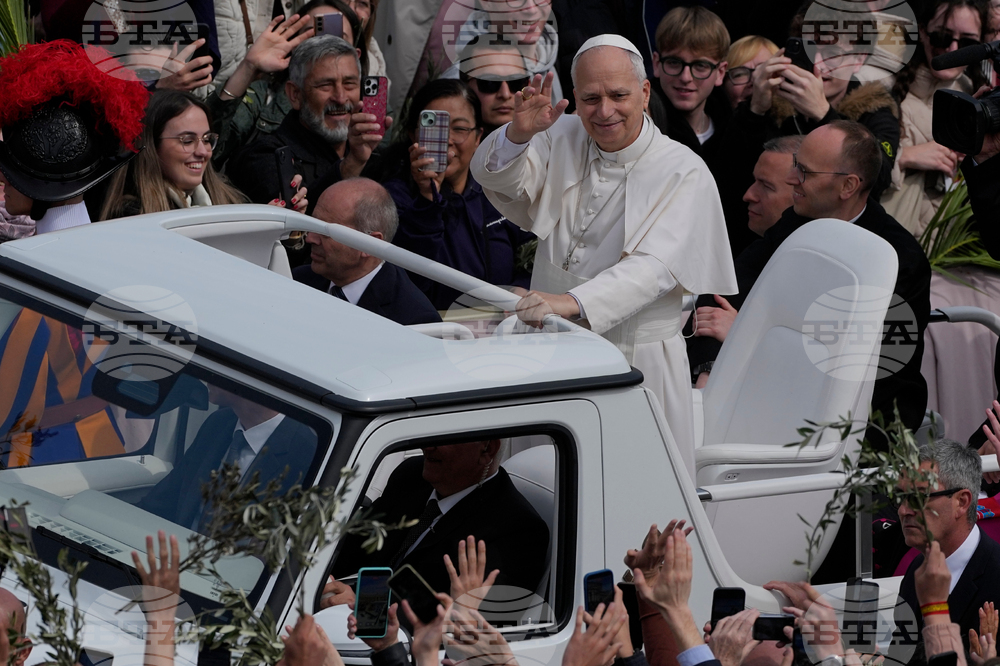 Vatican Pope Palm Sunday