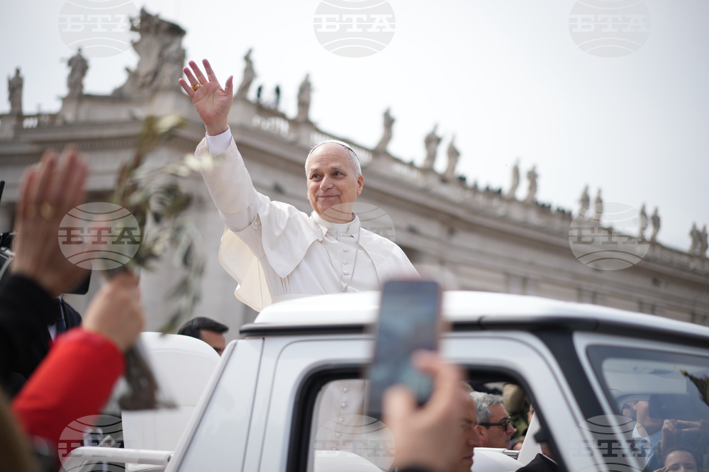 Vatican Pope Palm Sunday