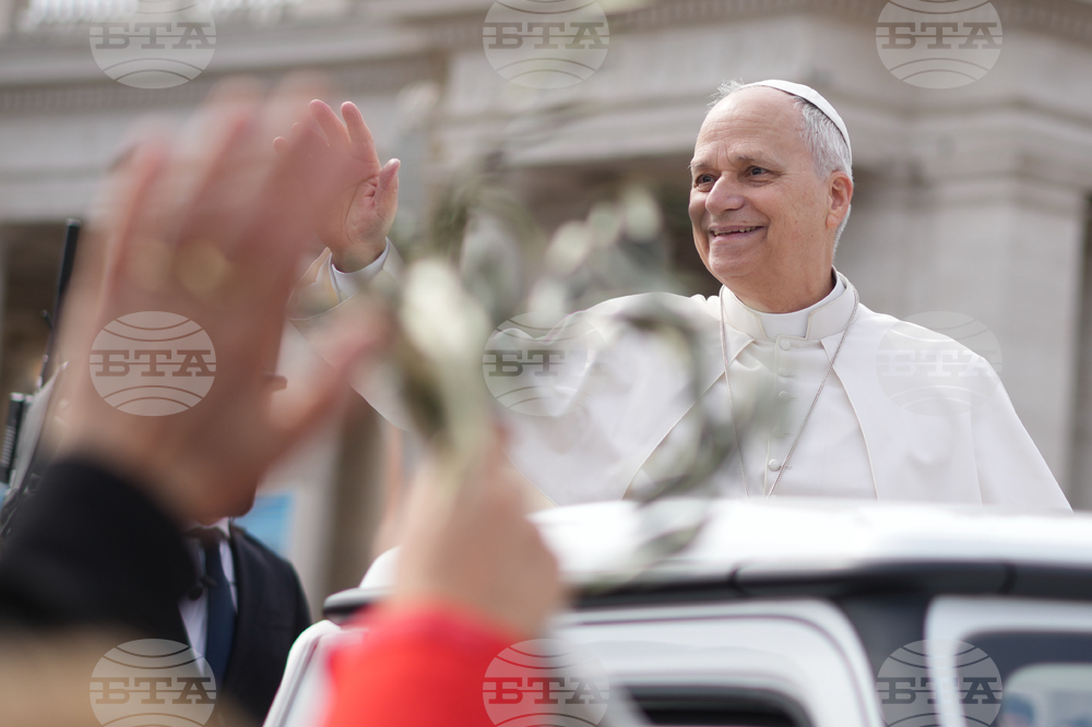 APTOPIX Vatican Pope Palm Sunday