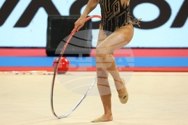 Световна купа по художествена гимнастика