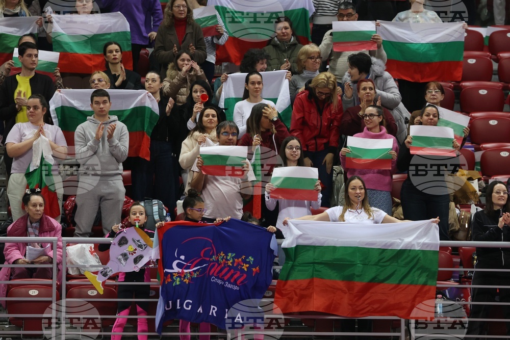 Световна купа по художествена гимнастика