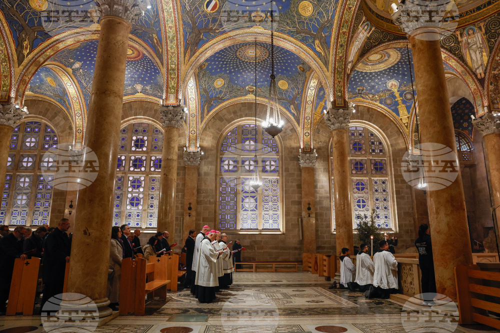 Israel Palm Sunday