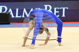 Световна купа по художествена гимнастика