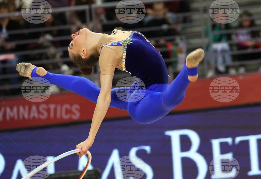 Световна купа по художествена гимнастика