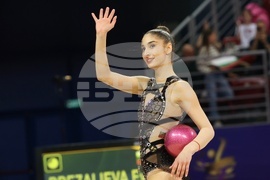 Световна купа по художествена гимнастика