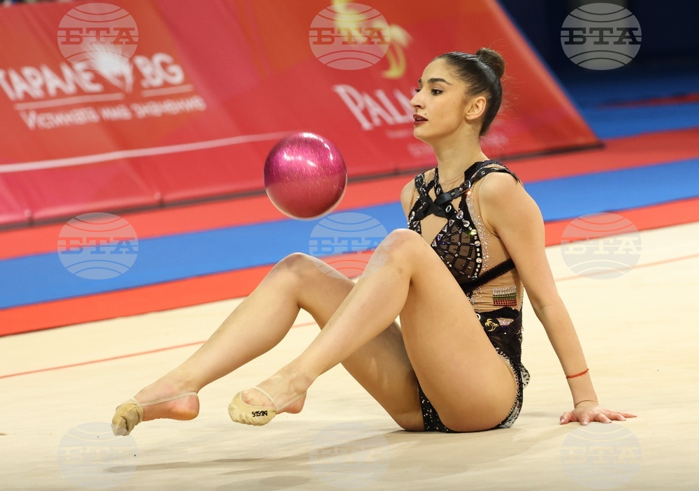 Световна купа по художествена гимнастика