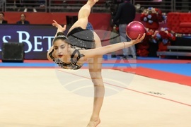 Световна купа по художествена гимнастика