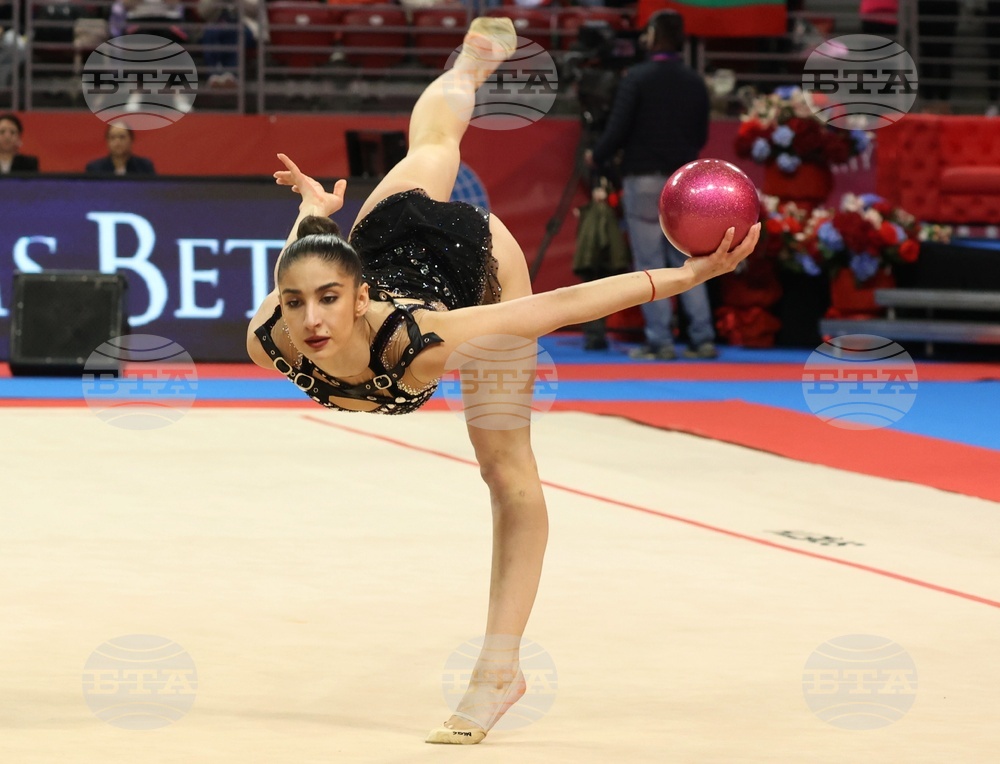 Световна купа по художествена гимнастика