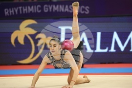 Световна купа по художествена гимнастика