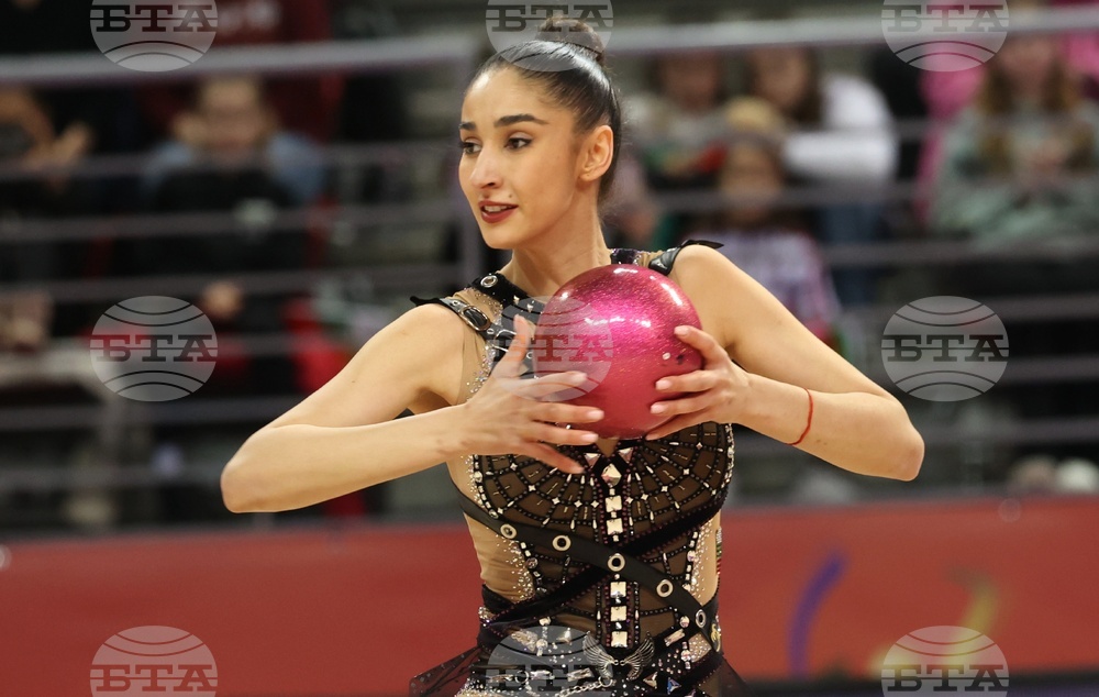 Световна купа по художествена гимнастика