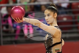 Световна купа по художествена гимнастика