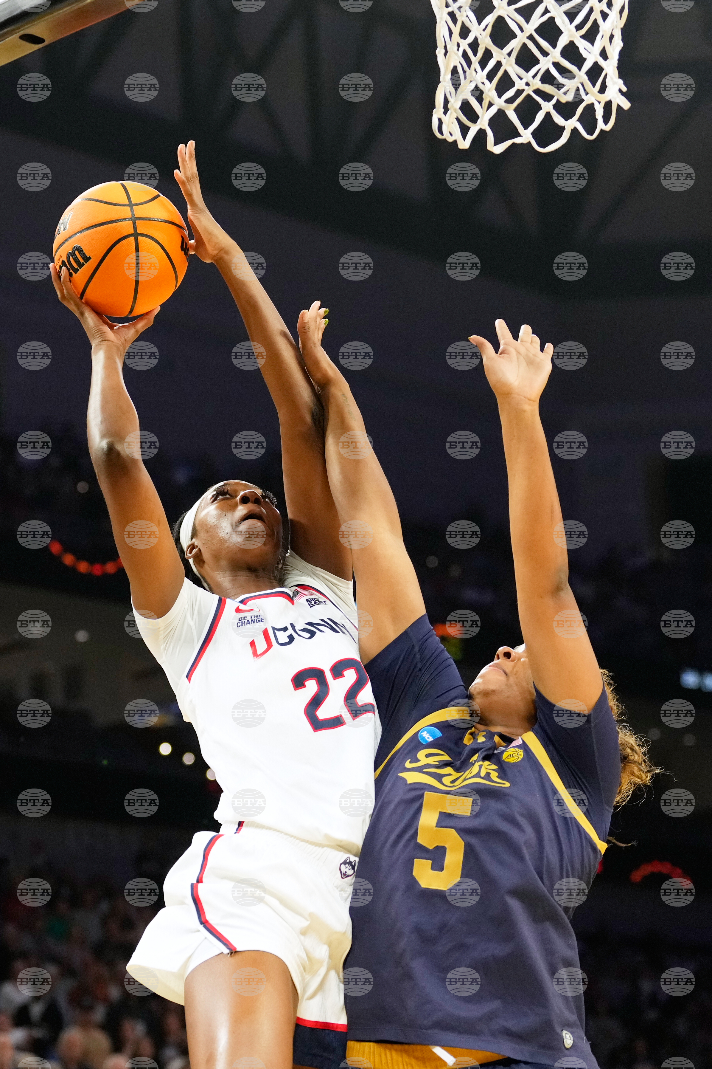 NCAA Notre Dame UConn Basketball