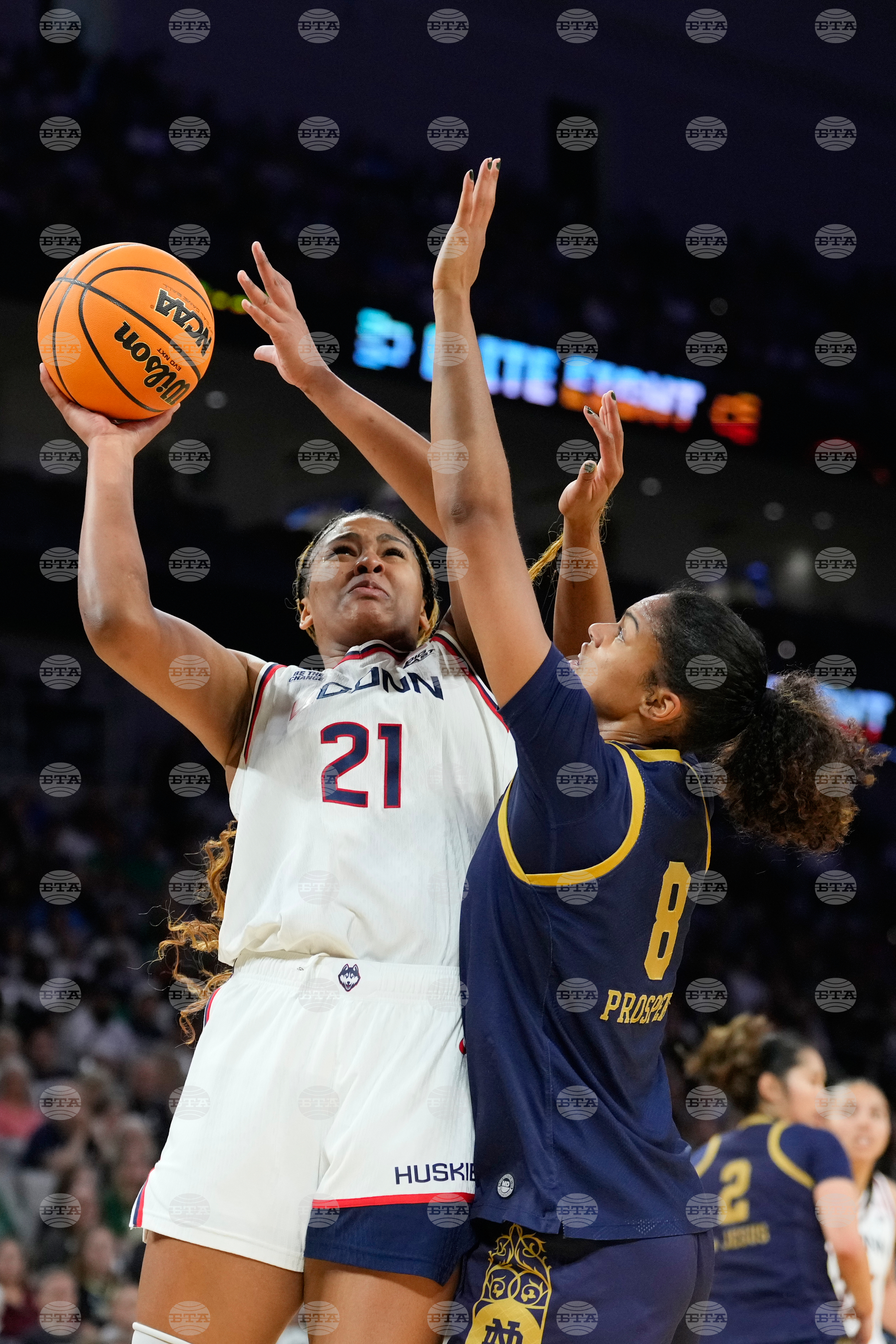 NCAA Notre Dame UConn Basketball