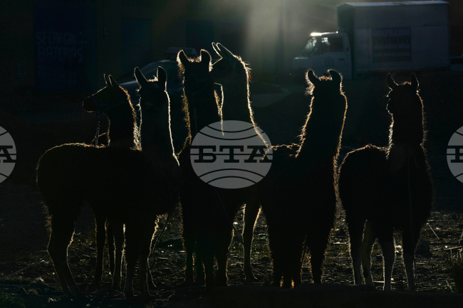 APTOPIX Bolivia Palm Sunday