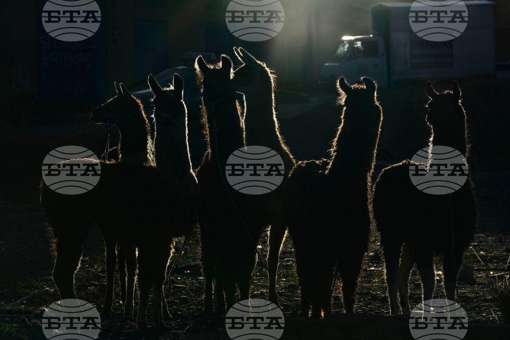 APTOPIX Bolivia Palm Sunday