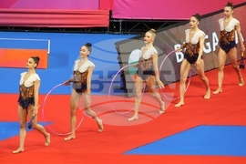 Световна купа по художествена гимнастика - ансамбли