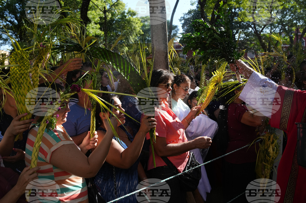 Paraguay Palm Sunday