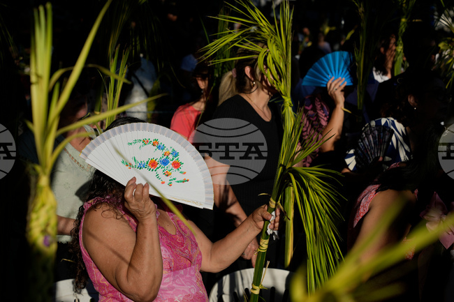 APTOPIX Paraguay Palm Sunday