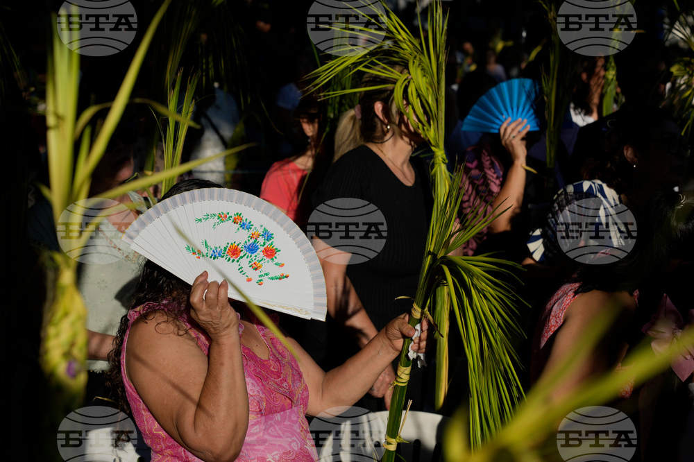 APTOPIX Paraguay Palm Sunday
