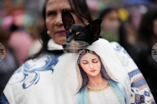Colombia Palm Sunday
