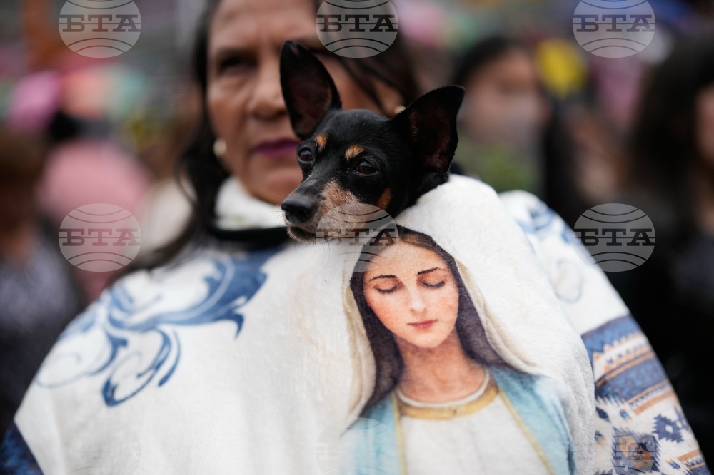 Colombia Palm Sunday