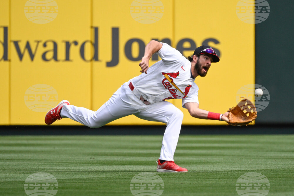 Rays Cardinals Baseball