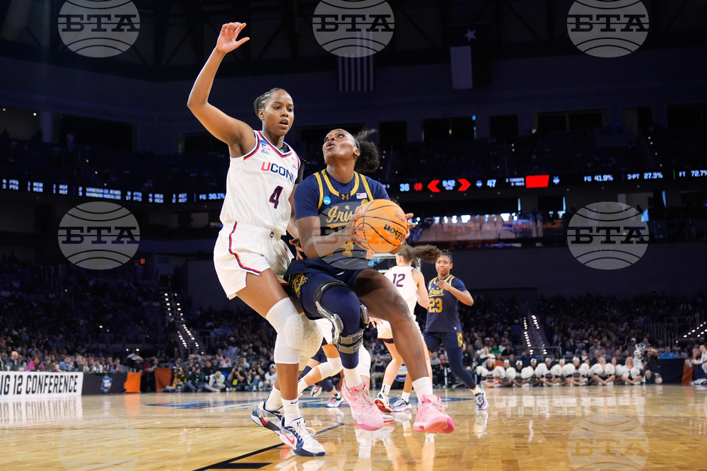 NCAA Notre Dame UConn Basketball