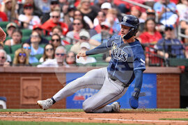 Rays Cardinals Baseball