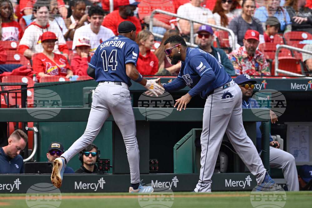 Rays Cardinals Baseball