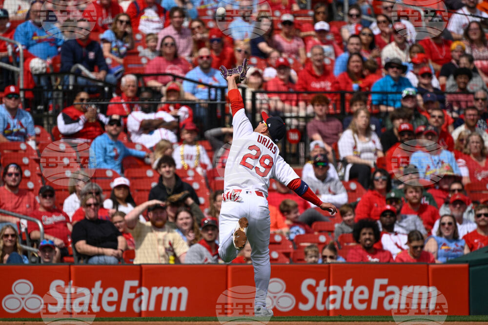 Rays Cardinals Baseball