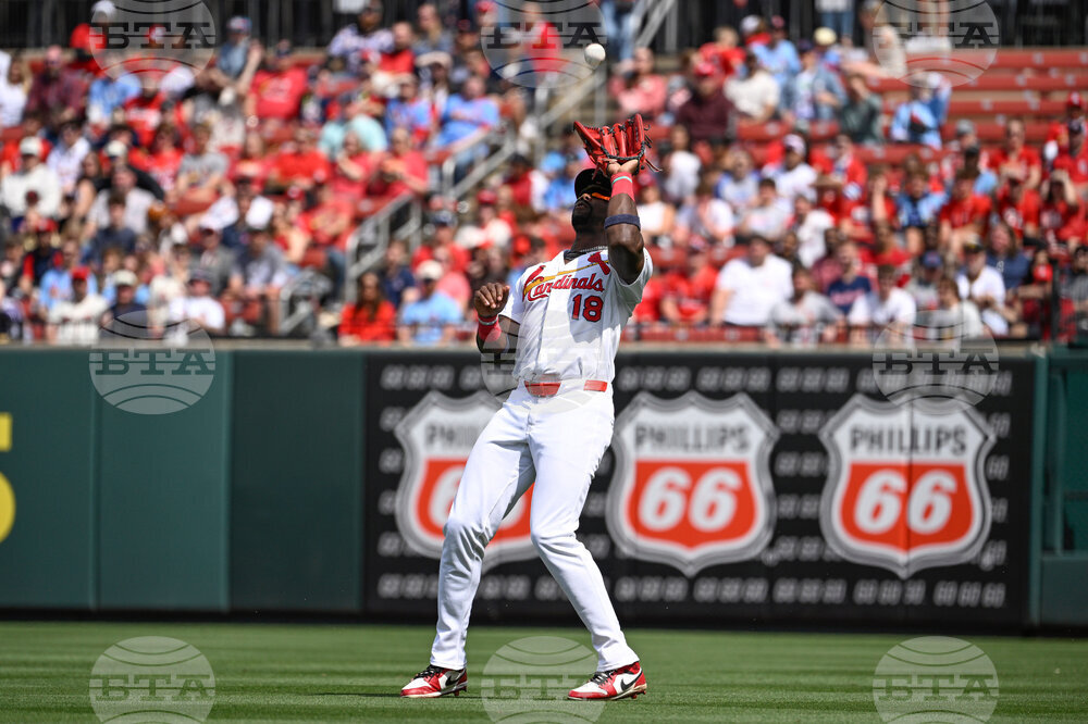 Rays Cardinals Baseball