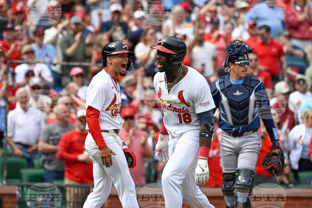 Rays Cardinals Baseball