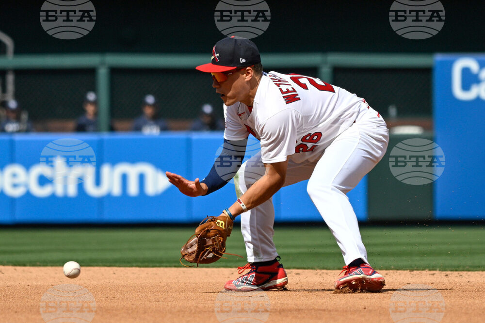 Rays Cardinals Baseball