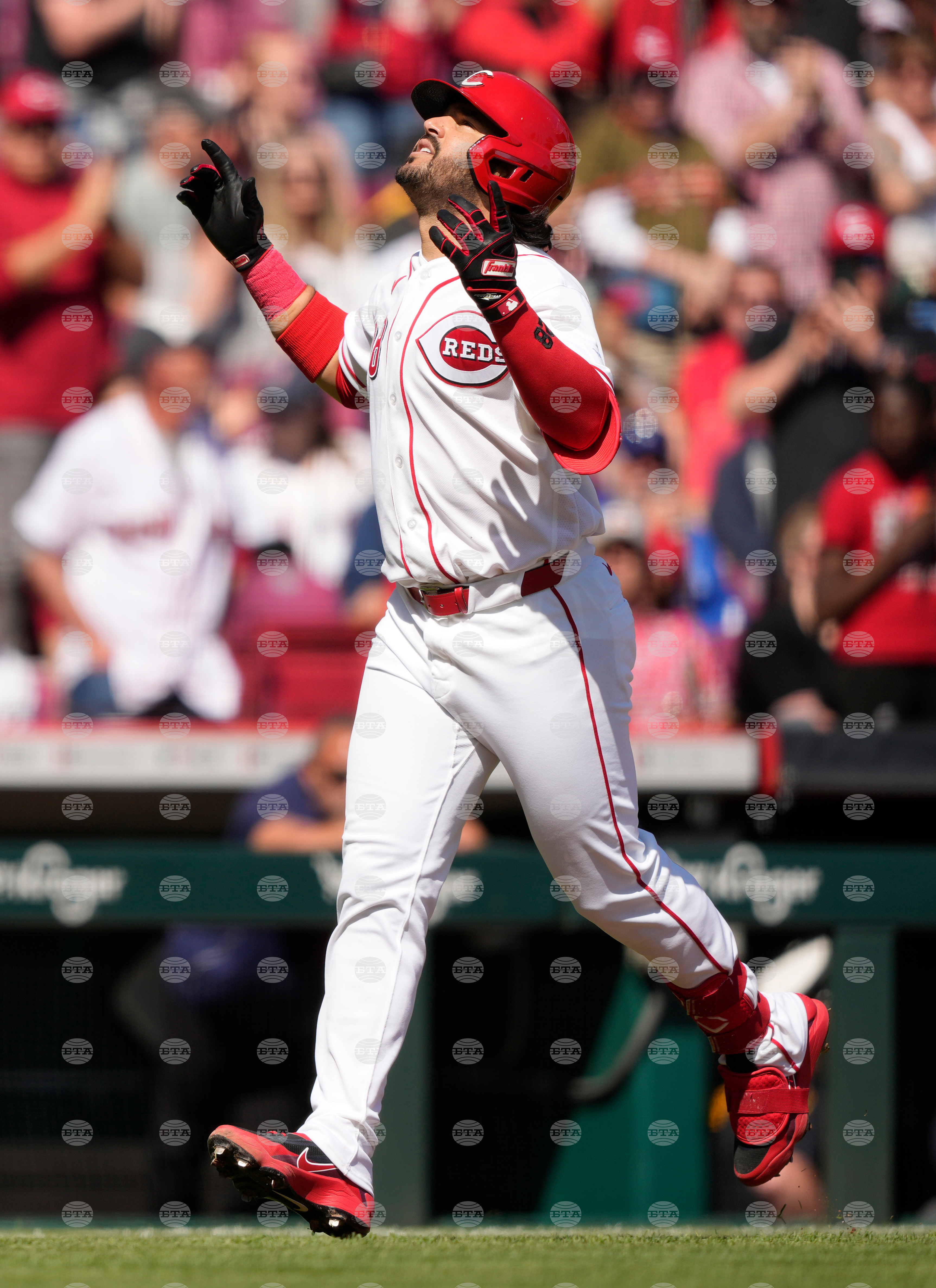 Red Sox Reds Baseball