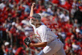 Rays Cardinals Baseball
