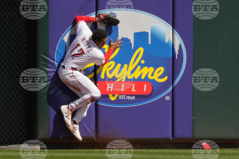 Red Sox Reds Baseball