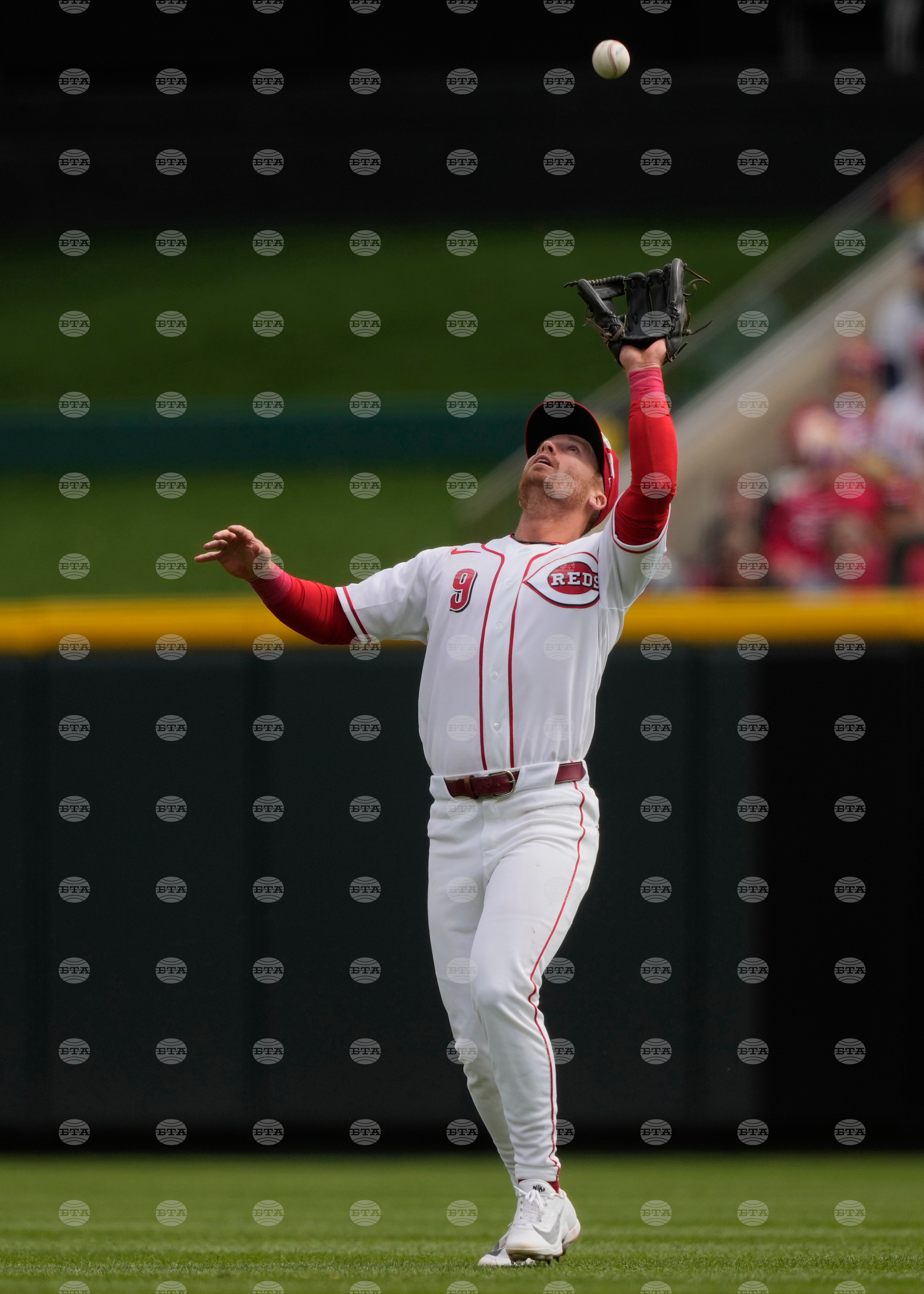 Red Sox Reds Baseball