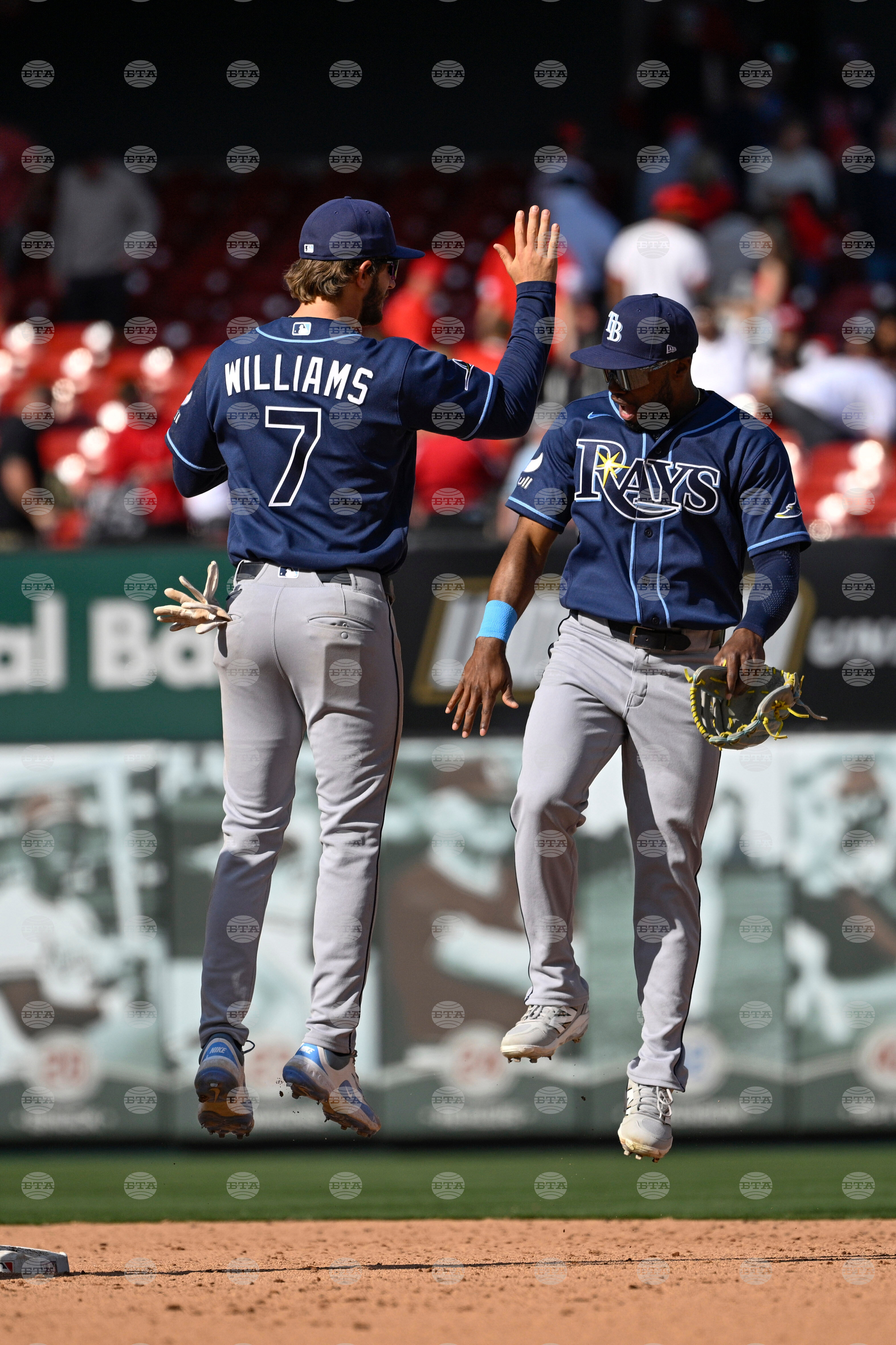 Rays Cardinals Baseball