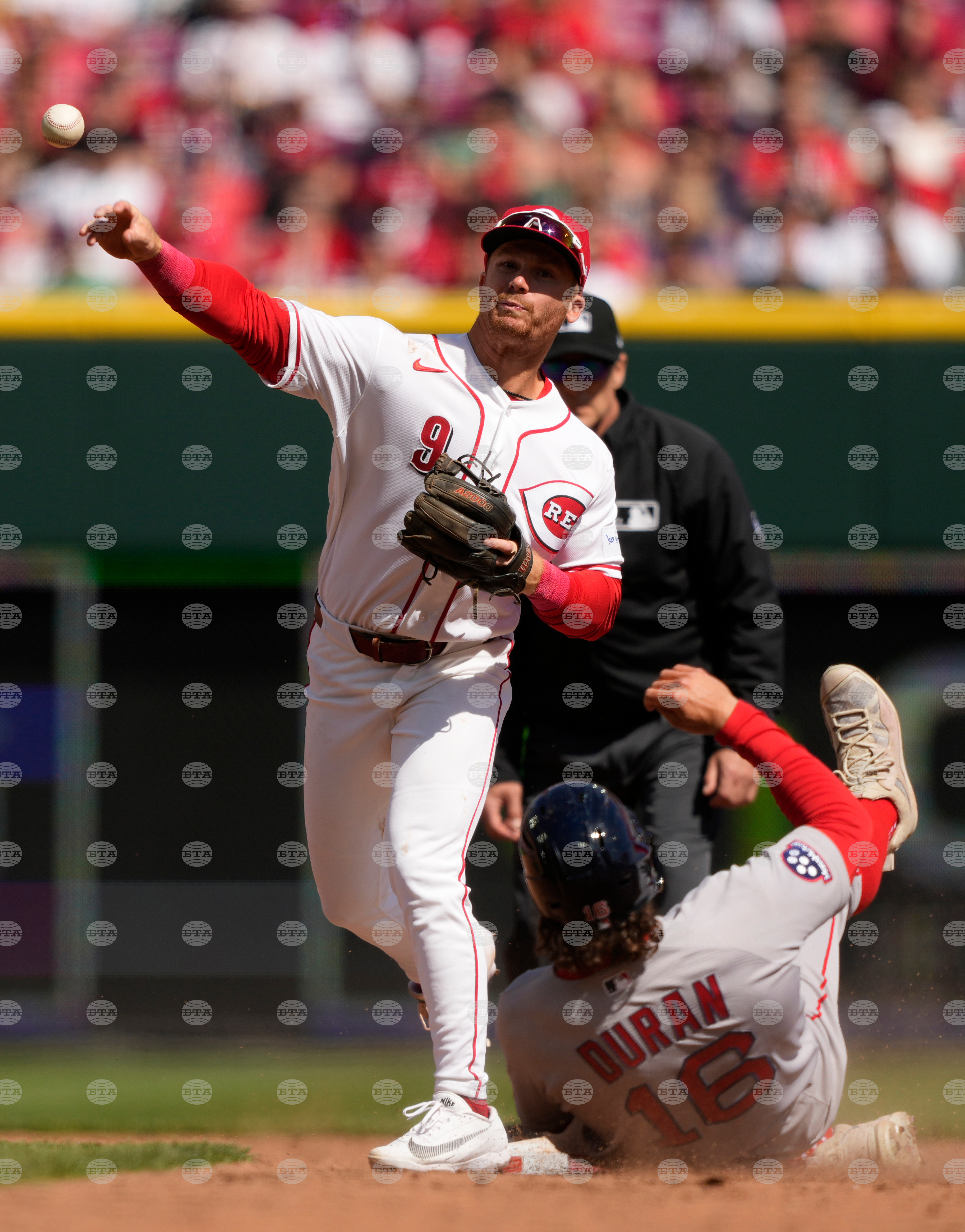 Red Sox Reds Baseball