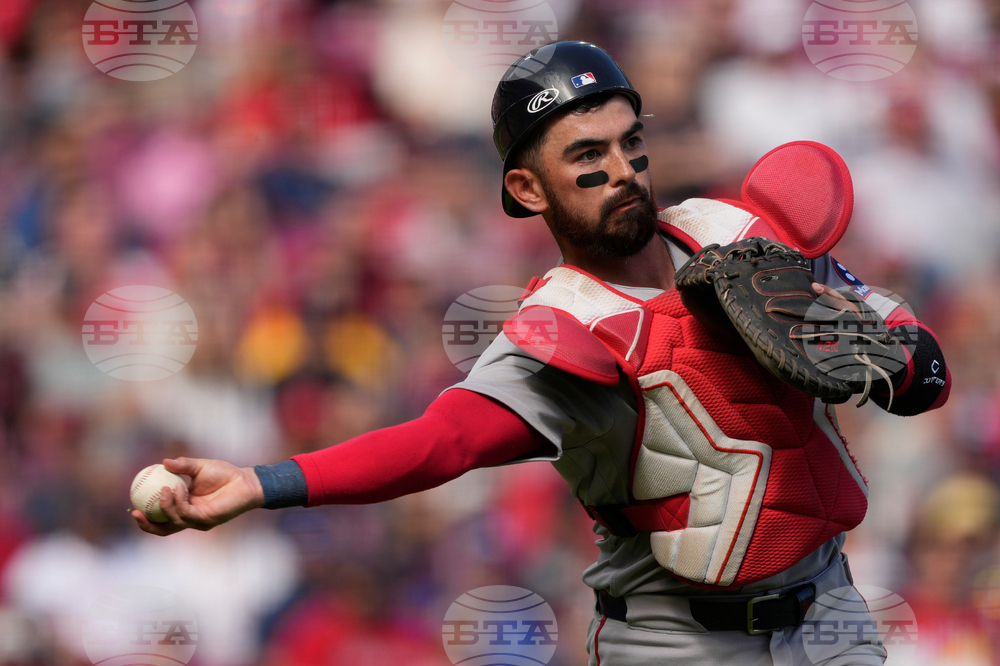 Red Sox Reds Baseball