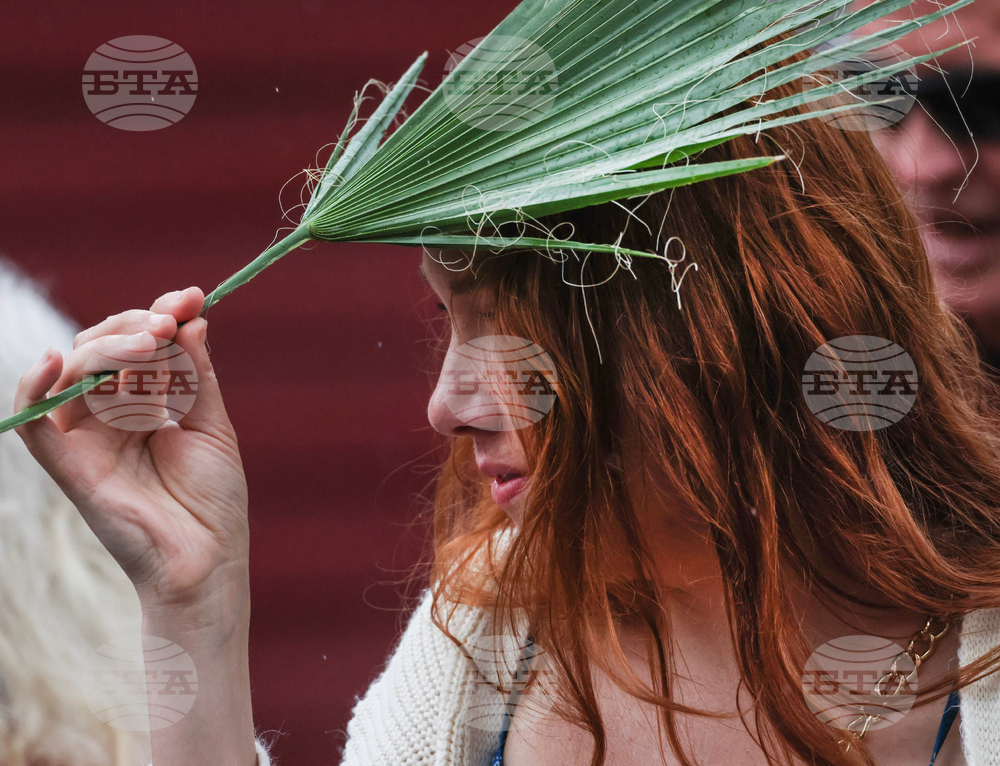 Louisiana Palm Sunday