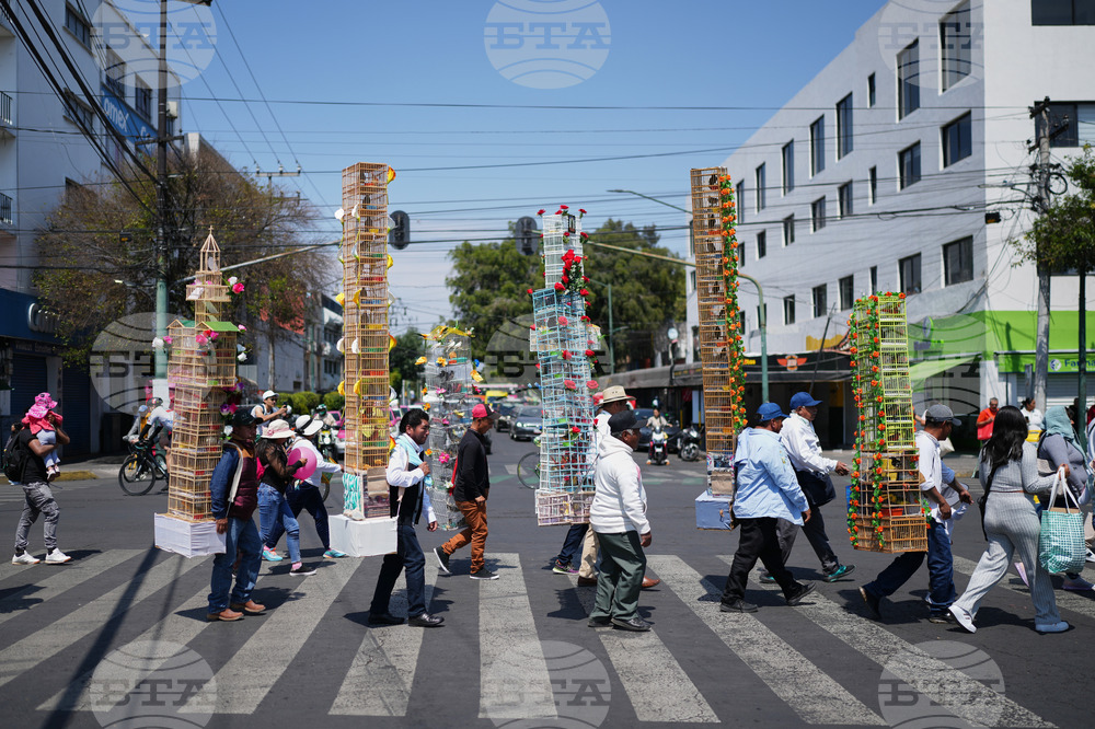 Mexico Bird Vendors