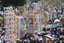 Mexico Bird Vendors