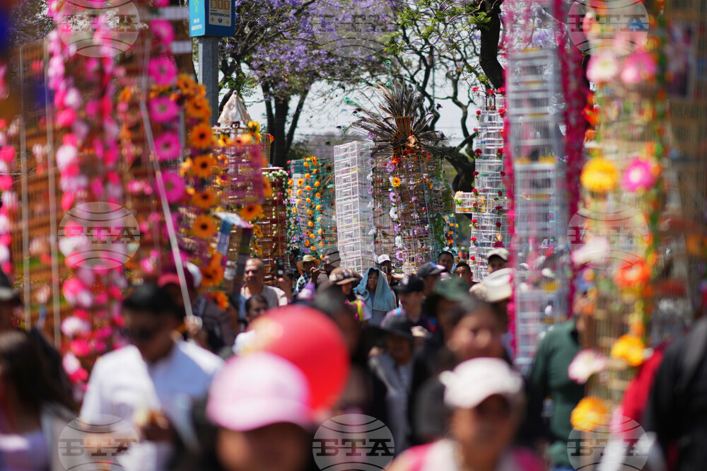 Mexico Bird Vendors