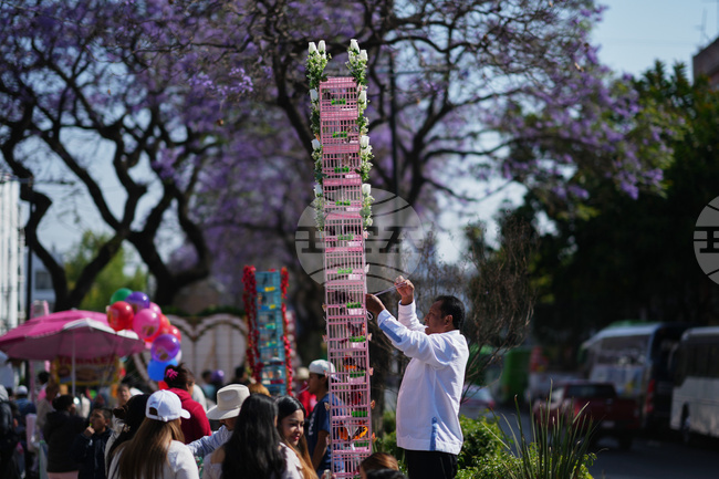 Традиционните търговци на птици в Мексико се опасяват, че занаятът им постепенно изчезва