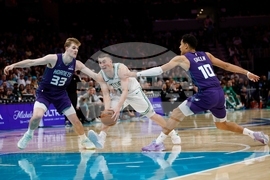 Celtics Hornets Basketball