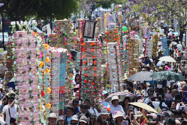APTOPIX Mexico Bird Vendors