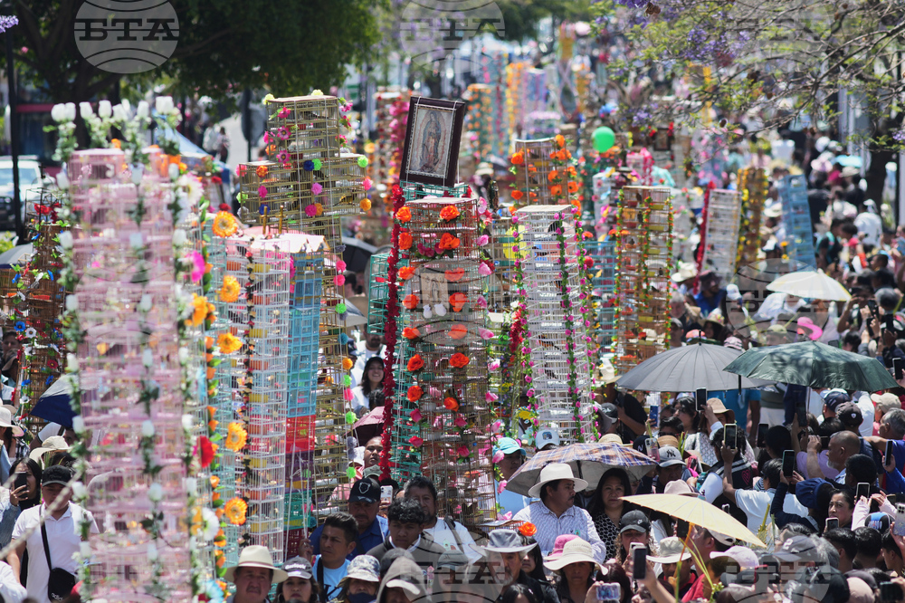 APTOPIX Mexico Bird Vendors
